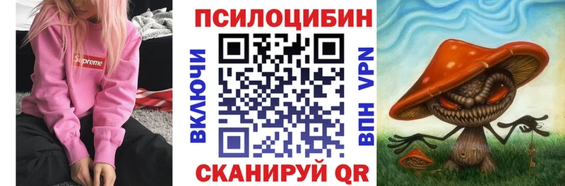 где продают наркотики  Заозёрск  Галлюциногенные грибы GOLDEN TEACHER 